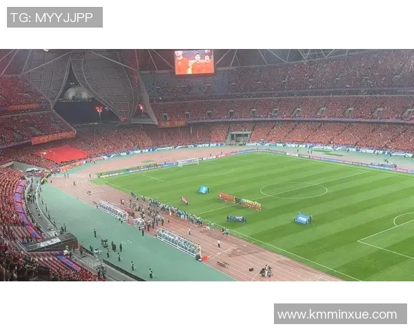 杭州羽毛球队逆袭世界杯的荣耀之路与奋斗精神